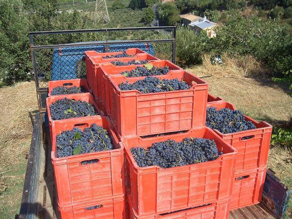 Agriturismo Parra Santa Lucia del Mela Kültér fotó