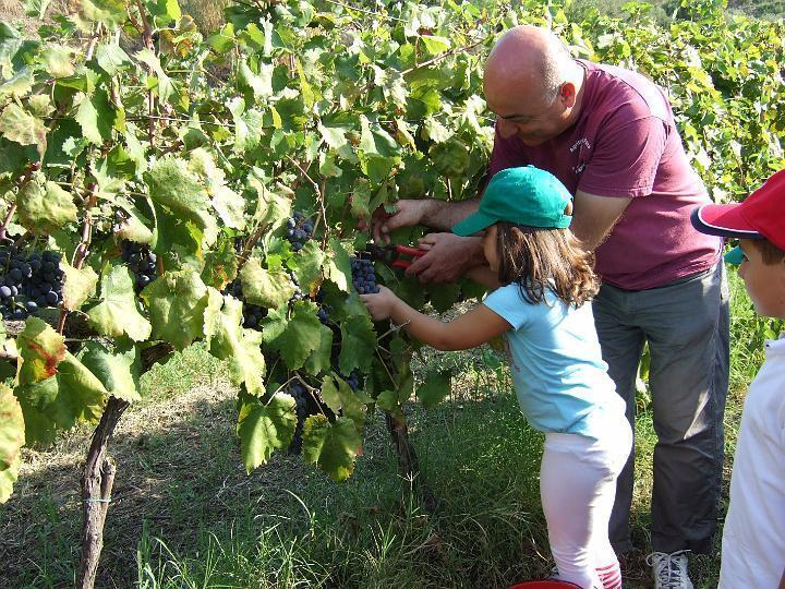 Agriturismo Parra Santa Lucia del Mela Kültér fotó