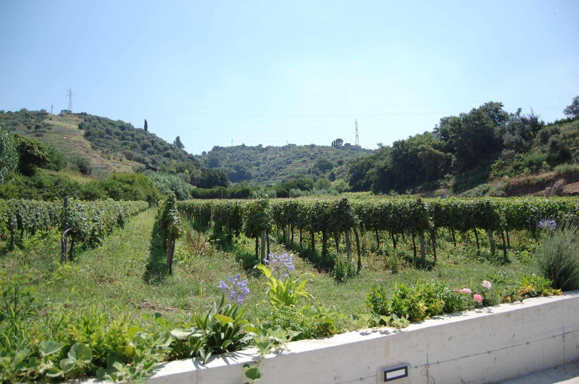 Agriturismo Parra Santa Lucia del Mela Kültér fotó